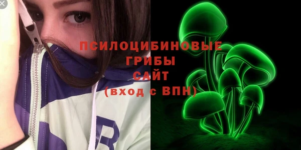 PSILOCYBIN Горняк