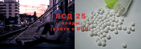 PSILOCYBIN Горняк