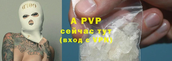 PSILOCYBIN Горняк