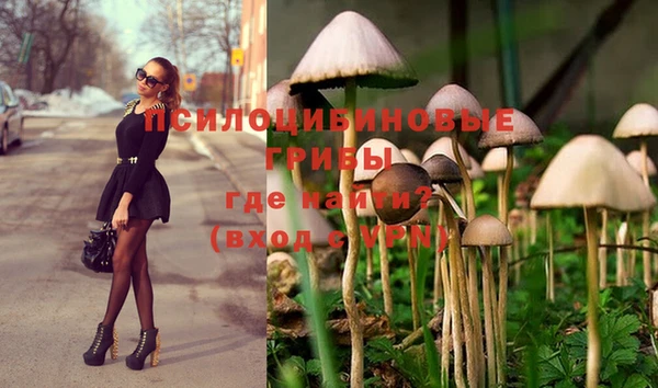 PSILOCYBIN Горняк