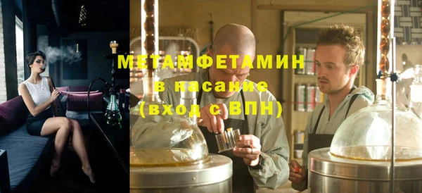 PSILOCYBIN Горняк