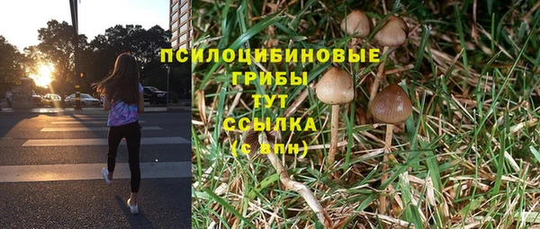 мескалин Горнозаводск