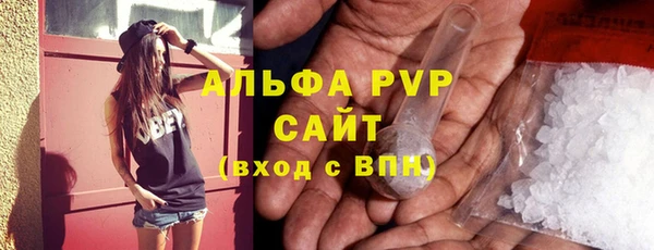 PSILOCYBIN Горняк